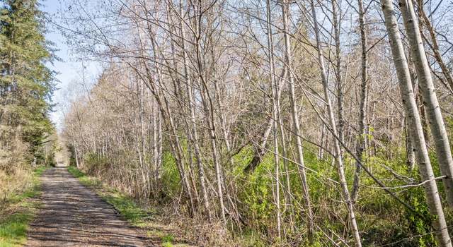 Photo of 9999 N Bagley Creek Rd, Port Angeles, WA 98362
