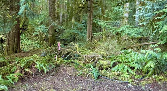 Photo of 34750 S Shore Dr, Mount Vernon, WA 98274