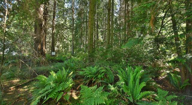 Photo of 0 XXX East Harbor Rd, Freeland, WA 98249