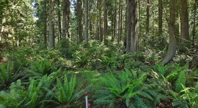 Photo of 0 XXX East Harbor Rd, Freeland, WA 98249