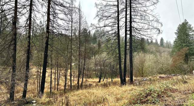 Photo of 36803 NW Jenny Creek Rd, La Center, WA 98629