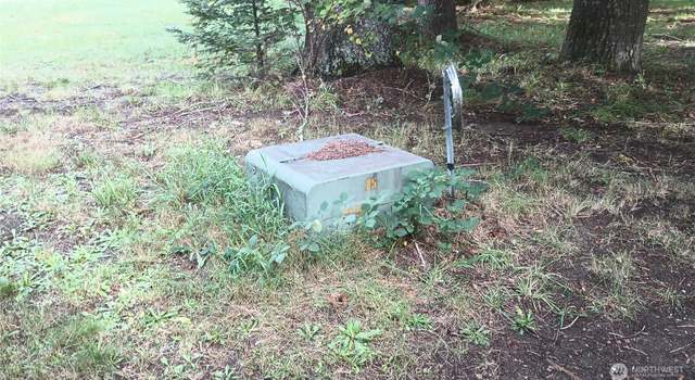 Photo of 0 Burton Creek Rd, Randle, WA 98377