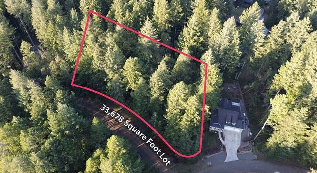 Photo of 10502 Madrona Dr, Anderson Island, WA 98303