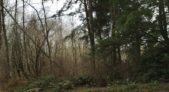 Photo of 2111 E Phillips Lake loop Rd, Shelton, WA 98584