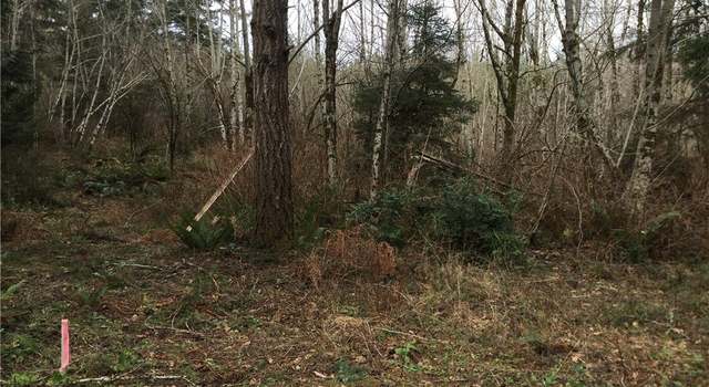 Photo of 2111 E Phillips Lake loop Rd, Shelton, WA 98584
