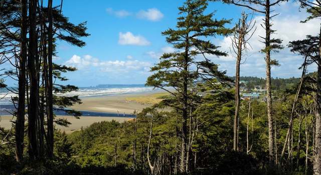Photo of 90 Koala Ln, Pacific Beach, WA 98571