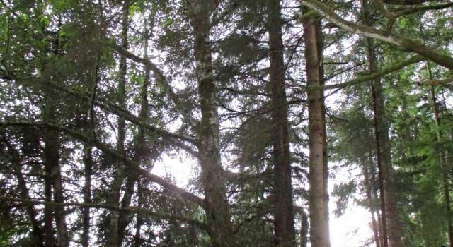 Photo of 111 Olympic View Ave NE, Ocean Shores, WA 98569