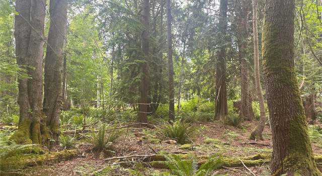 Photo of 0 Black Point Ct, Brinnon, WA 98320