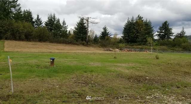Photo of 0 Shorthorn Ln #30, Oakville, WA 98568