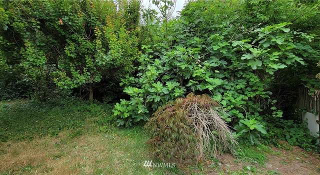 Photo of 517 Alvord Ave N, Kent, WA 98030