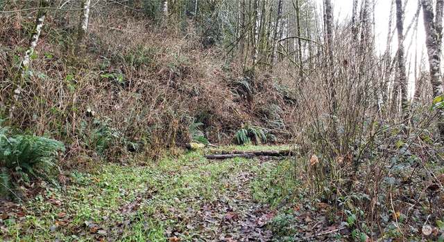 Photo of 0 131xx Mountain Loop Hwy, Granite Falls, WA 98252