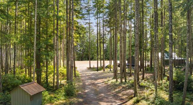 Photo of 140 Springer Ln, Brinnon, WA 98320