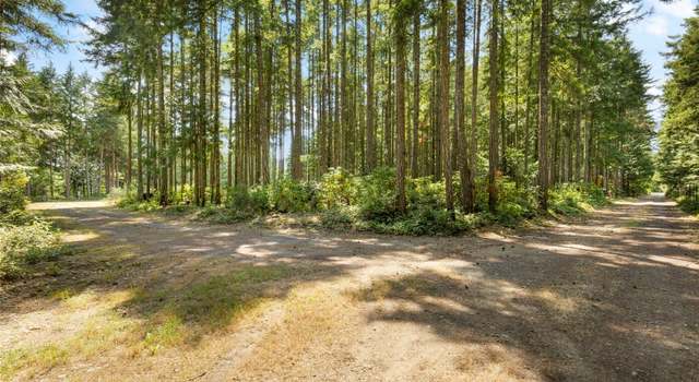 Photo of 140 Springer Ln, Brinnon, WA 98320