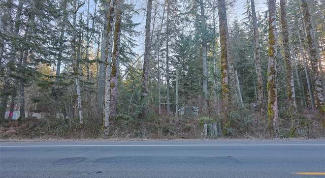 Photo of 56104 Kernahan Rd E, Ashford, WA 98304