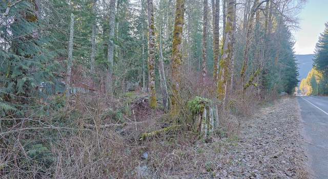 Photo of 56104 Kernahan Rd E, Ashford, WA 98304