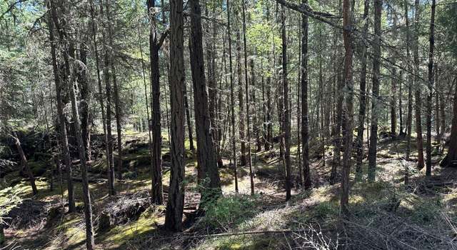 Photo of 0 Lot B Pioneer Hill Rd, Orcas Island, WA 98279