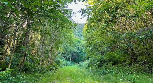 Photo of 0 SR-4, Cathlamet, WA 98612