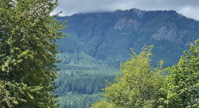 Photo of 226 Bennett Rd, Randle, WA 98377