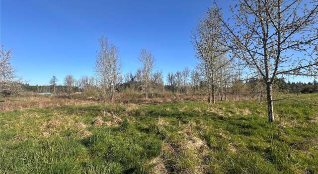 Photo of 517 Toledo Salmon Creek Rd, Toledo, WA 98591