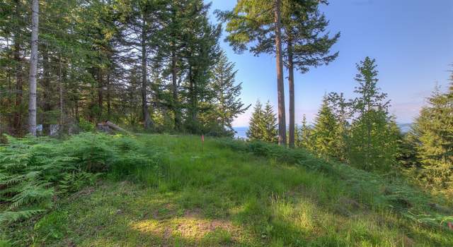 Photo of 41 Raven Ln, Orcas Island, WA 98279