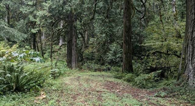 Photo of 0 Cascade Park D1-68 Pl Unit D1L68, Marblemount, WA 98267