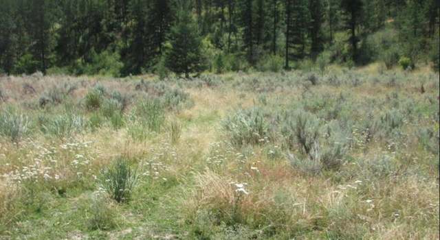 Photo of 0 Blue Lake Rd, Tonasket, WA 98844