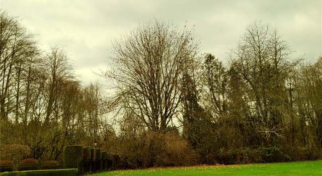 Photo of 6515 Portstewart Ln SE, Olympia, WA 98501