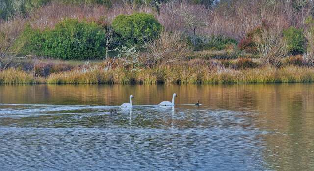 Photo of 384 Marine View Dr SW, Ocean Shores, WA 98569