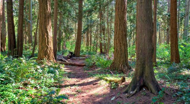 Photo of 1751 Benson Rd, Point Roberts, WA 98281