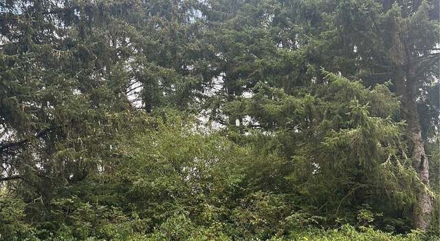 Photo of 470 Lake West Loop NE, Ocean Shores, WA 98569