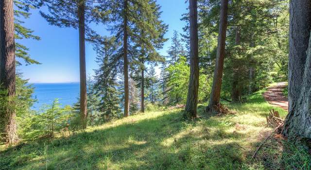 Photo of 2700 Raccoon Point Rd, Orcas Island, WA 98245