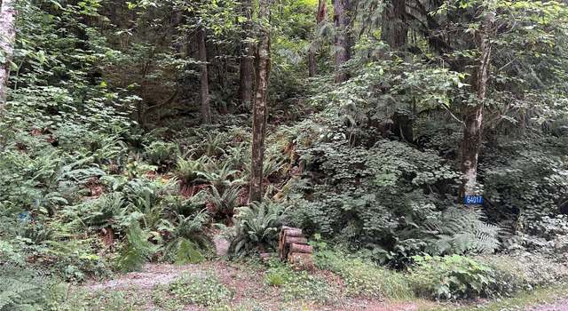 Photo of 64017 E Cascade Dr Unit 1-194, Marblemount, WA 98267