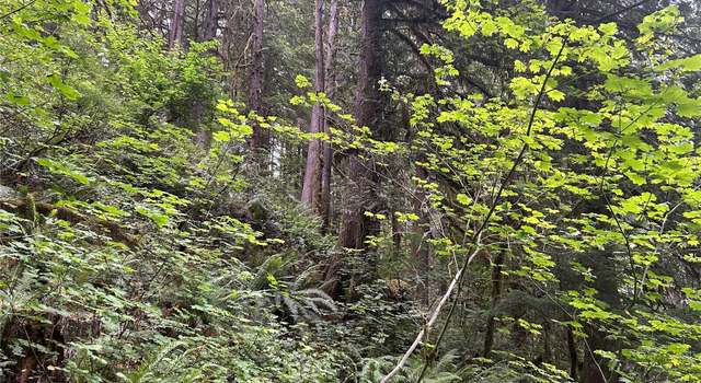 Photo of 64017 E Cascade Dr Unit 1-194, Marblemount, WA 98267
