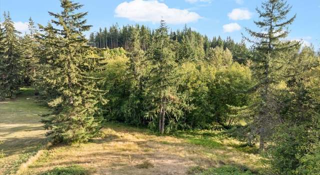 Photo of 0 391st, Amboy, WA 98601