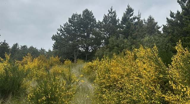 Photo of 723 S Sand Dune Ave SW, Ocean Shores, WA 98569