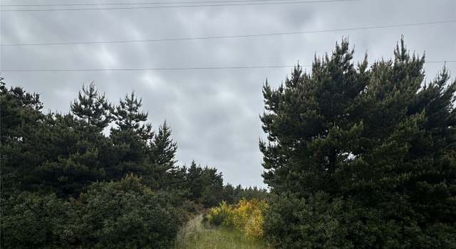 Photo of 723 S Sand Dune Ave SW, Ocean Shores, WA 98569