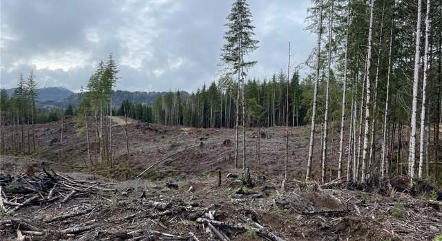 Photo of 0 Oatfield Rd, Skamokawa, WA 98647