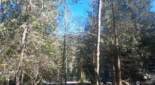 Photo of 56414 382nd Avenue Ct E, Ashford, WA 98304