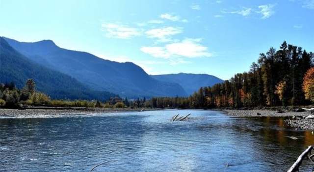 Photo of 0 Lot 8 Carr Rd, Randle, WA 98377