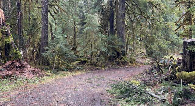 Photo of 0 Whitton Ave, Granite Falls, WA 98252