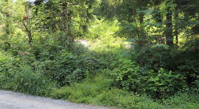 Photo of 52902 S Riverside Rd, Gold Bar, WA 98251