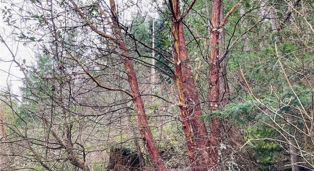 Photo of 11947 New Morning Dr, Anacortes, WA 98221