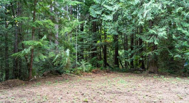 Photo of 51 N Trail Head Loop, Lilliwaup, WA 98555