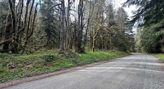 Photo of 0 Miller River Rd, Skykomish, WA 98288