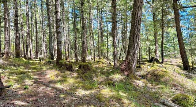 Photo of 808 Pioneer Hill Rd, Orcas Island, WA 98279