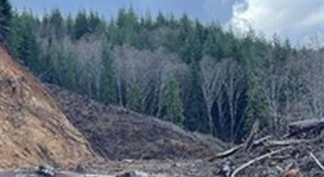 Photo of 0 South Bend Palix Rd, South Bend, WA 98586