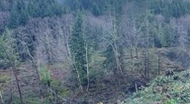 Photo of 0 South Bend Palix Rd, South Bend, WA 98586