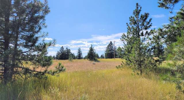 Photo of 0 Bachelor Flats Dr N, WA 99117