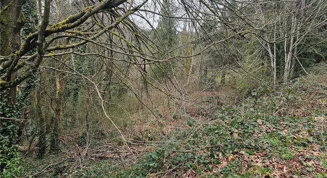 Photo of 194 XX Forest Park Dr NE, Lake Forest Park, WA 98155