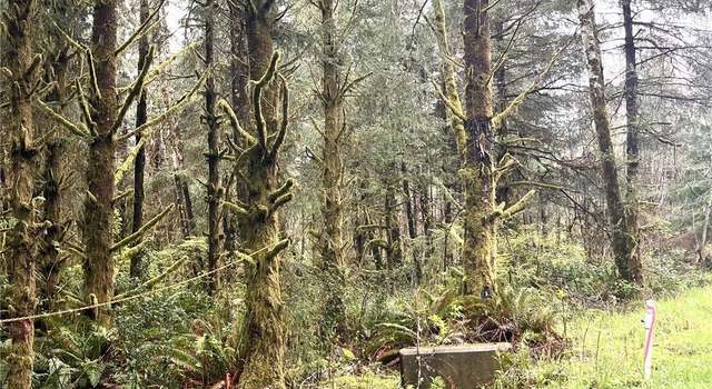 Photo of 300 Luttrell Ln, Ilwaco, WA 98624